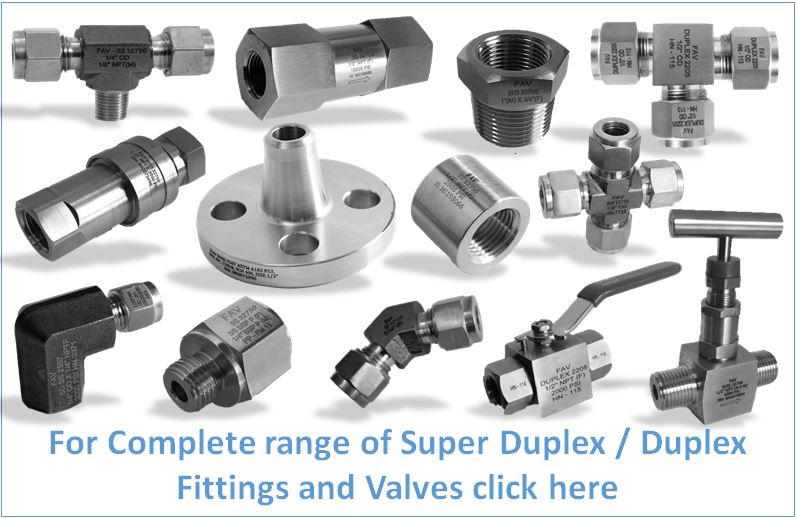 Duplex Fittings and Valves