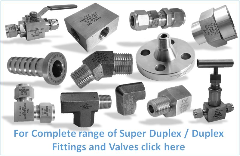 Super Duplex Valves & Fittings