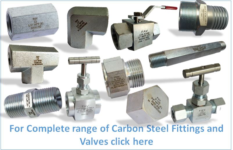 A105 Check Valve & Tube Fittings