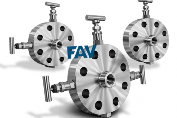 Monoflange Valve  & Monoflange Gauge Valves